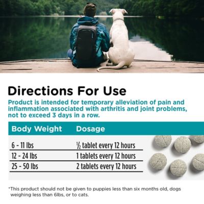 Image showing 5 th Nutri-Vet Aspirin Pain Reliever for Small/Medium Dogs, 100 ct.