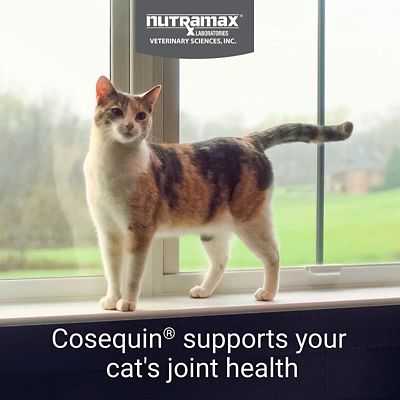 Image showing  Maximum Strength Joint Health Supplement for Cats, 55 Sprinkle Capsules