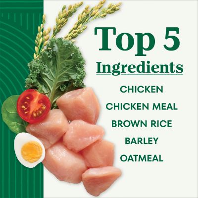 Image showing  Adult Chicken and Brown Rice Recipe Dry Dog Food