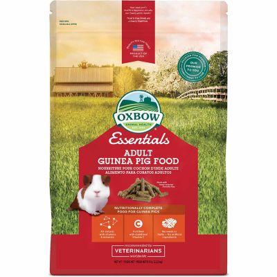 Oxbow Animal Health Essentials Adult Guinea Pig Food, 5 lb.