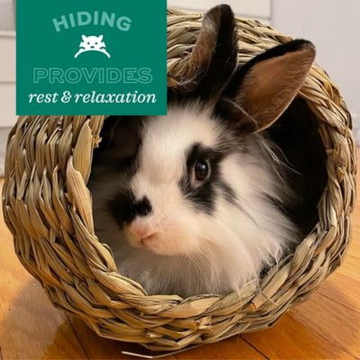 Image showing  Timothy Bungalow for Small Pets, Medium