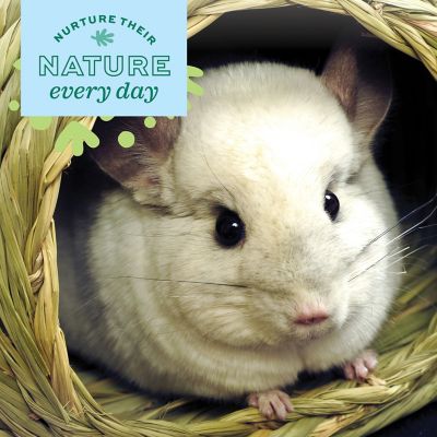 Image showing  Timothy Bungalow for Small Pets, Medium