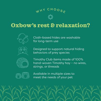 Image showing  Timothy Bungalow for Small Pets, Medium