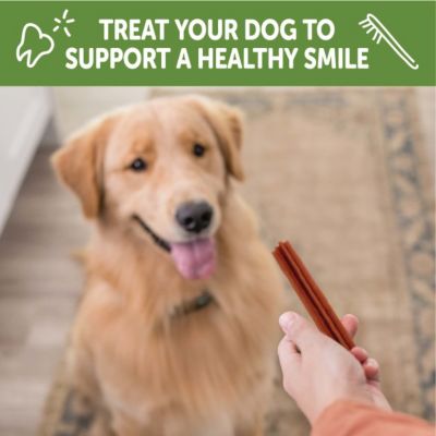 Image showing 6 th Wellness WHIMZEES Stix Dog Dental Treat, Small, 28 pc.