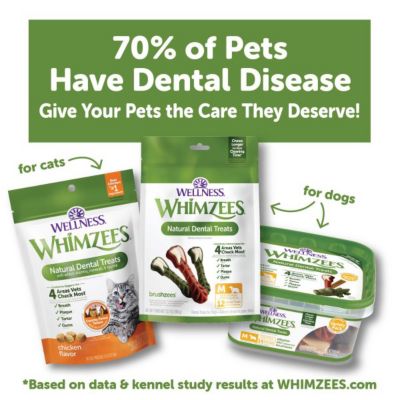 Image showing 8 th Wellness WHIMZEES Stix Dog Dental Treat, Small, 28 pc.