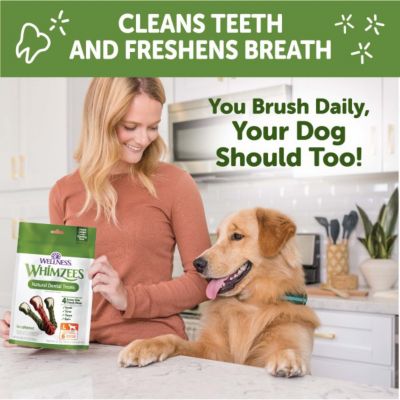 Image showing 5 th Wellness WHIMZEES Brushzees Natural Dental Dog Treats, Large Size, 6 ct.