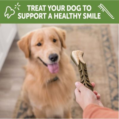 Image showing 6 th Wellness WHIMZEES Brushzees Natural Dental Dog Treats, Large Size, 6 ct.