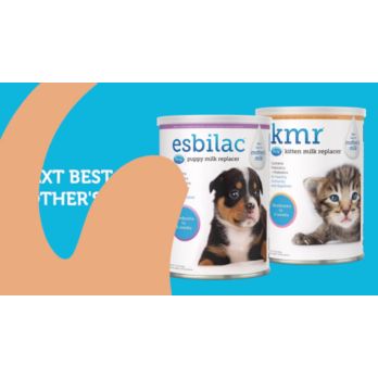 PetAg Kitten Milk Replacer Powder 12 oz. at Tractor Supply Co