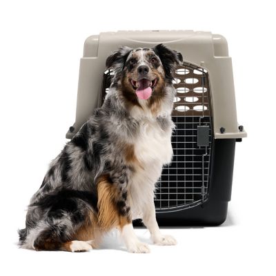 Image showing 5 th Petmate All Purpose Vari Kennel 50-70 lb. LIN 36