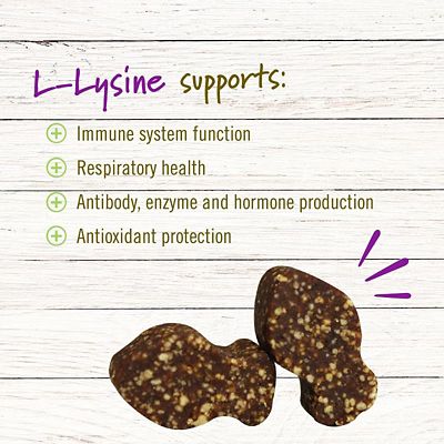 Image showing  L-Lysine Soft Chews for Cats, 60 ct.