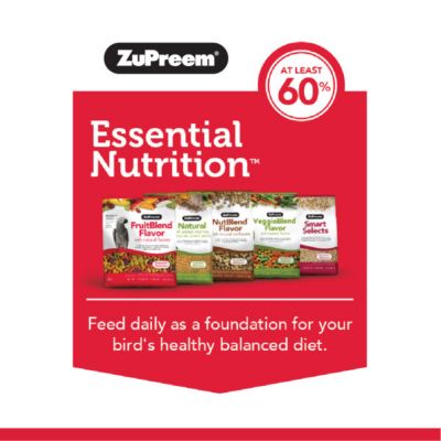 Image showing  FruitBlend Medium Pet Bird Seed, 2 lb.