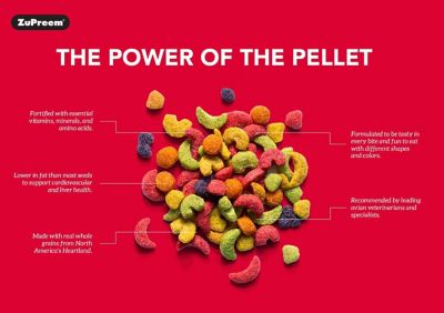 Image showing  FruitBlend Pet Bird Seed for Parrots and Conures, 3.5 lb.