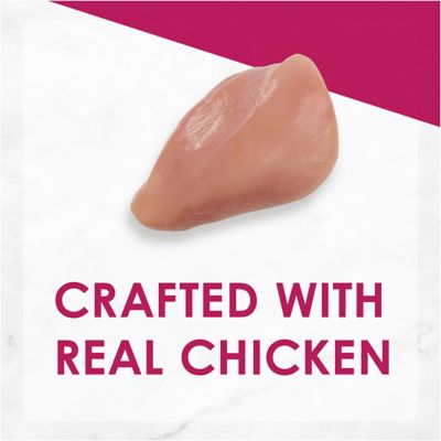 Image showing  Adult Grain-Free Chicken Feast Pate Wet Cat Food, 3 oz. Can