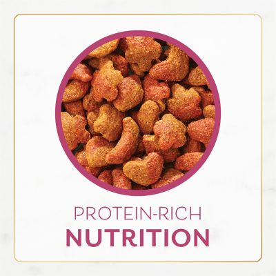 Image showing 7 th Purina Fancy Feast All Life Stages Indoor/Outdoor Filet Mignon Flavor Dry Cat Food, 7 lb. Bag