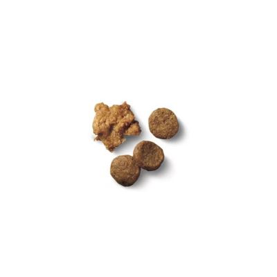 Image showing  Puppy Shredded Blend Chicken and Rice Formula Dry Dog Food, 6 lb. Bag