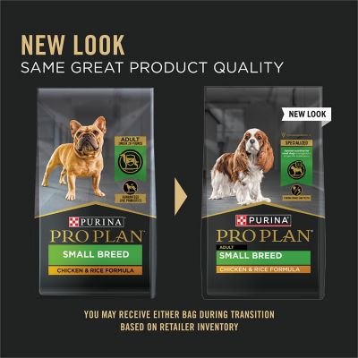 Image showing  Focus Chicken & Rice Formula Adult Small and Toy Breed Dry Dog Food