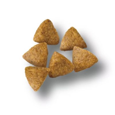 Image showing  Small Breed Adult Chicken and Rice Dry Dog Food