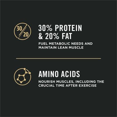 Image showing  Sport All Life Stages 30/20 Performance Salmon and Rice Formula Dry Dog Food