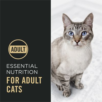 Image showing  Adult Indoor/Outdoor High-Protein Salmon and Rice Formula Dry Cat Food with Probiotics