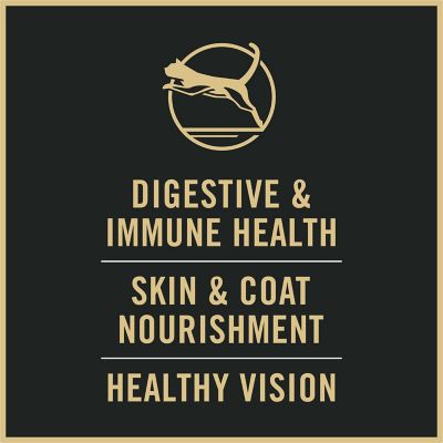 Image showing  Adult Indoor/Outdoor High-Protein Salmon and Rice Formula Dry Cat Food with Probiotics