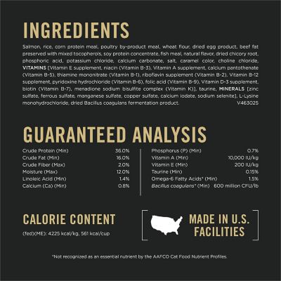 Image showing  Adult Indoor/Outdoor High-Protein Salmon and Rice Formula Dry Cat Food with Probiotics