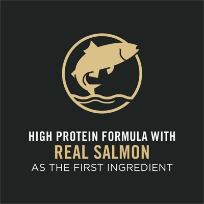 Image showing 8 th Purina Pro Plan Adult Indoor/Outdoor High-Protein Salmon and Rice Formula Dry Cat Food with Probiotics