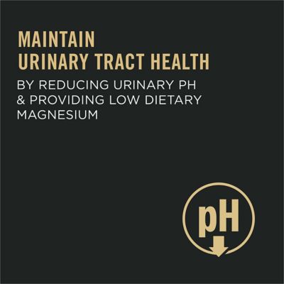 Image showing  Focus Urinary Tract Health Formula Adult Dry Cat Food