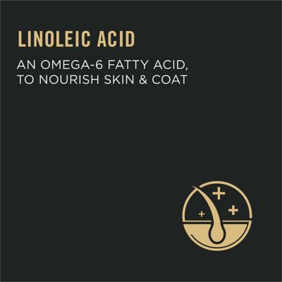 Image showing 5 th Purina Pro Plan Focus Urinary Tract Health Formula Adult Dry Cat Food