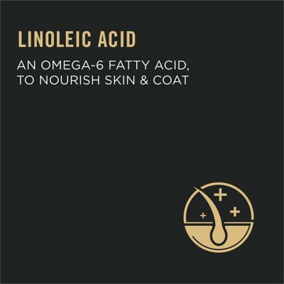 Image showing  Focus Urinary Tract Health Formula Adult Dry Cat Food