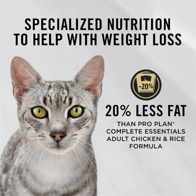 Image showing  Focus Weight Management Chicken & Rice Formula Adult Dry Cat Food