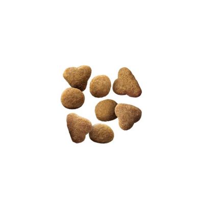 Image showing  Focus Indoor Care Turkey & Rice Formula Dry Cat Food