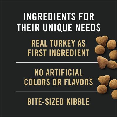 Image showing  Focus Indoor Care Turkey & Rice Formula Dry Cat Food