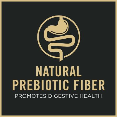 Image showing 8 th Purina Pro Plan Focus Indoor Care Turkey & Rice Formula Dry Cat Food