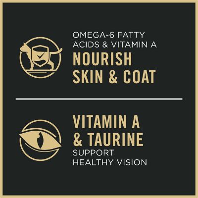 Image showing 9 th Purina Pro Plan Focus Indoor Care Turkey & Rice Formula Dry Cat Food