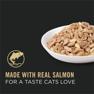 Image showing  Savor Adult Salmon & Rice in Sauce Entree Canned Cat Food