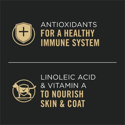 Image showing  Savor Adult Salmon & Rice in Sauce Entree Canned Cat Food