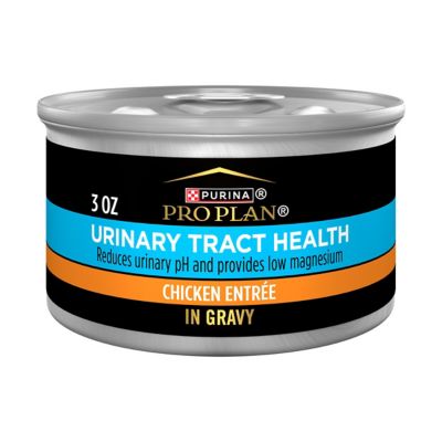 Purina Pro Plan Focus Adult Urinary Tract Health Chicken in Gravy Wet Cat Food, 3 oz. Can