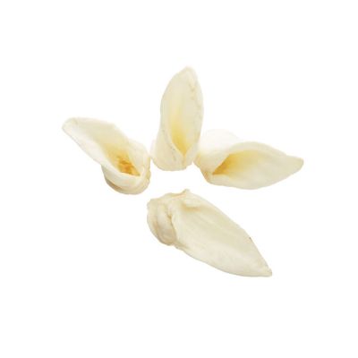 Image showing  Lamb Ear Dog Chew