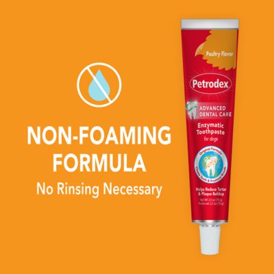 Image showing  Petrodex Veterinary Strength Enzymatic Poultry Flavor Toothpaste for Dogs