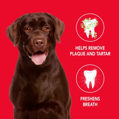 Image showing 5 th Sentry Petrodex Veterinary Strength Enzymatic Poultry Flavor Toothpaste for Dogs