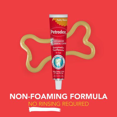 Image showing 9 th Sentry Petrodex Veterinary Strength Enzymatic Poultry Flavor Toothpaste for Dogs