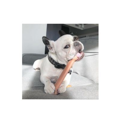 Image showing  Durable Bacon Bone Giant