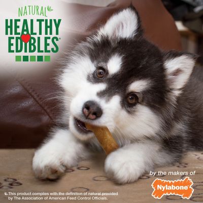 Image showing  Healthy Edibles Lamb and Apple Puppy 4 pk.