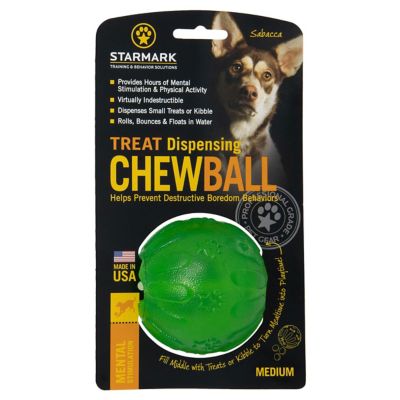 Image showing  Everlasting Fun Ball, Medium