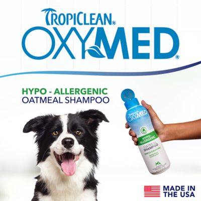 Image showing  OxyMed Hypoallergenic Shampoo for Pets, 20oz