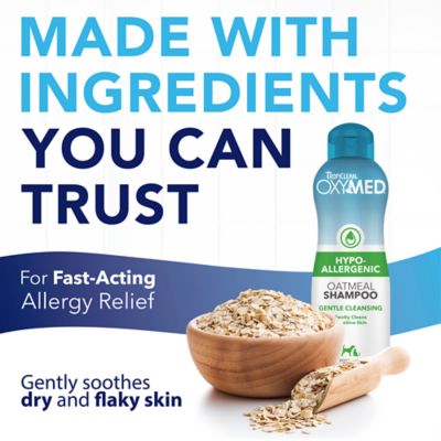 Image showing  OxyMed Hypoallergenic Shampoo for Pets, 20oz