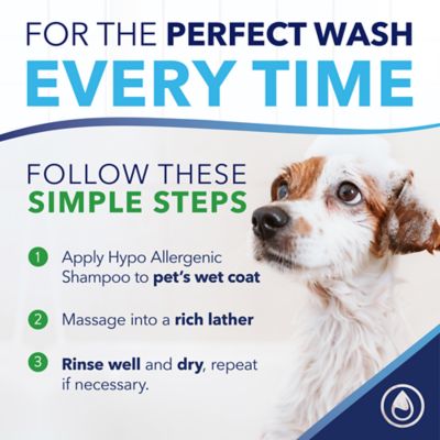 Image showing 7 th TropiClean OxyMed Hypoallergenic Shampoo for Pets, 20oz