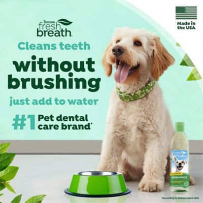 Image showing  Fresh Breath Dental Health Solution for Dogs, 16oz