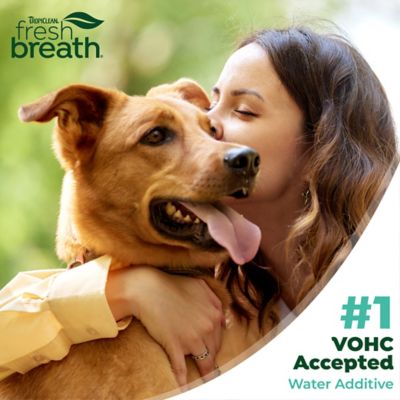 Image showing 6 th TropiClean Fresh Breath Dental Health Solution for Dogs, 16oz