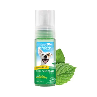 Image showing  Fresh Breath Mint Foam for Pets, 4.5oz